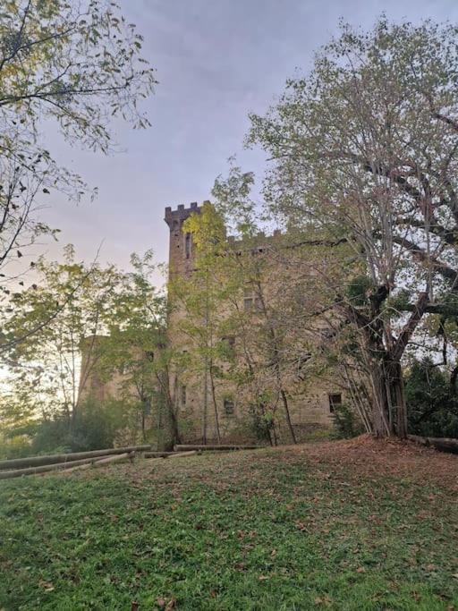 Gite L'Enclos O Rendez-Vous Roquefeuil-Pays De Sault- Avec Jardin エクステリア 写真