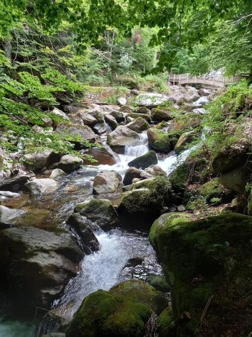 Gite L'Enclos O Rendez-Vous Roquefeuil-Pays De Sault- Avec Jardin エクステリア 写真