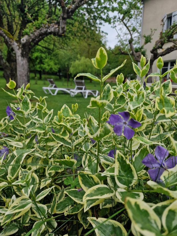 Gite L'Enclos O Rendez-Vous Roquefeuil-Pays De Sault- Avec Jardin エクステリア 写真